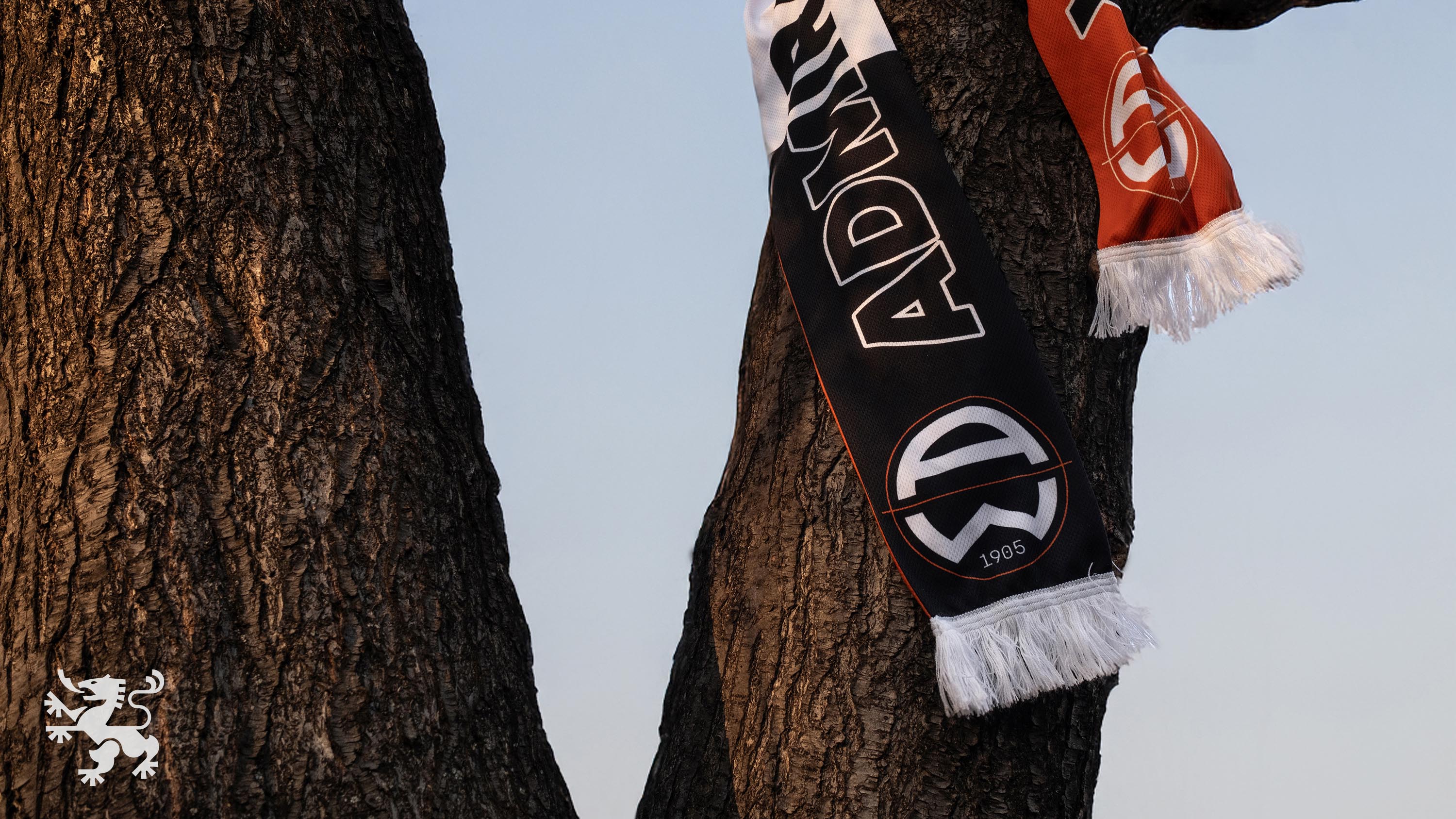 ©RolandRadschopf_Scholz&FriendsWien