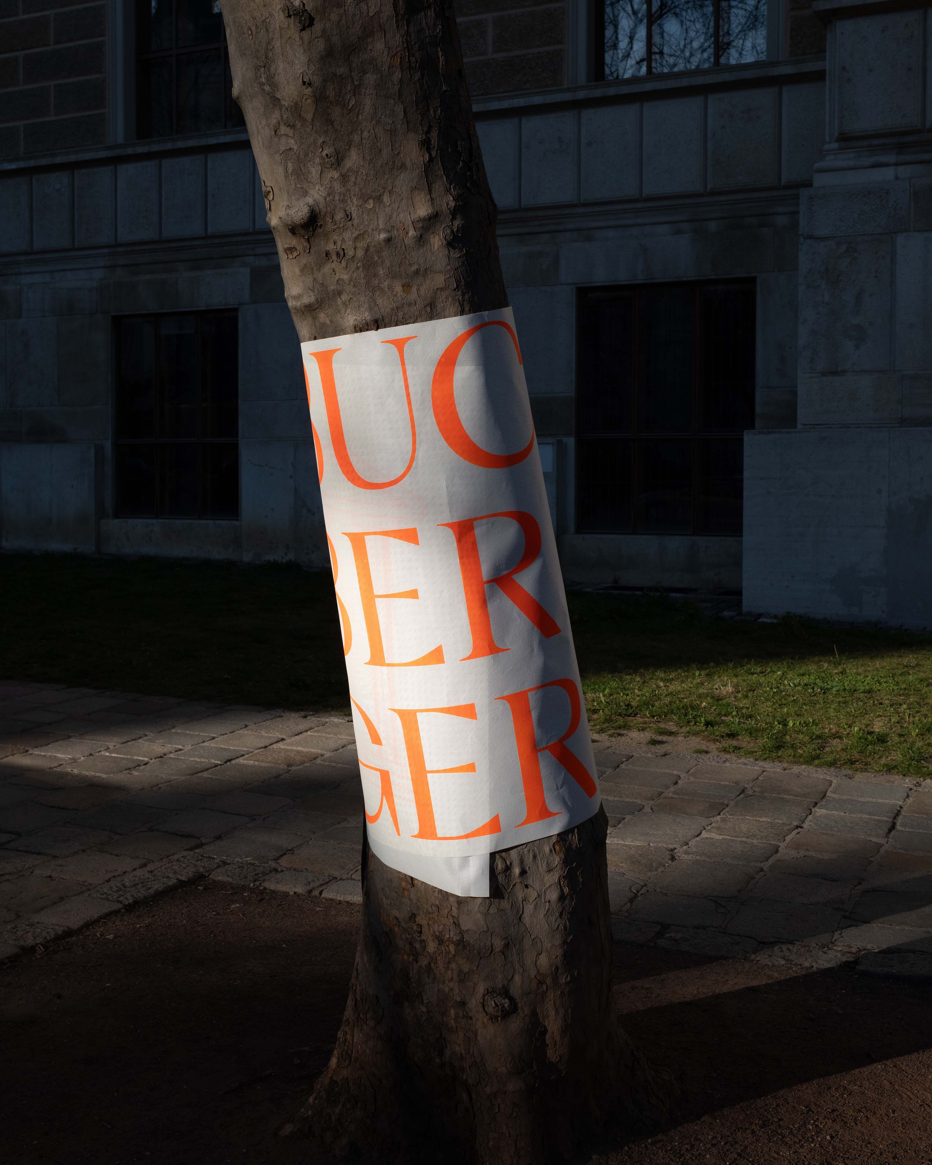 ©RolandRadschopf_Scholz&FriendsWien