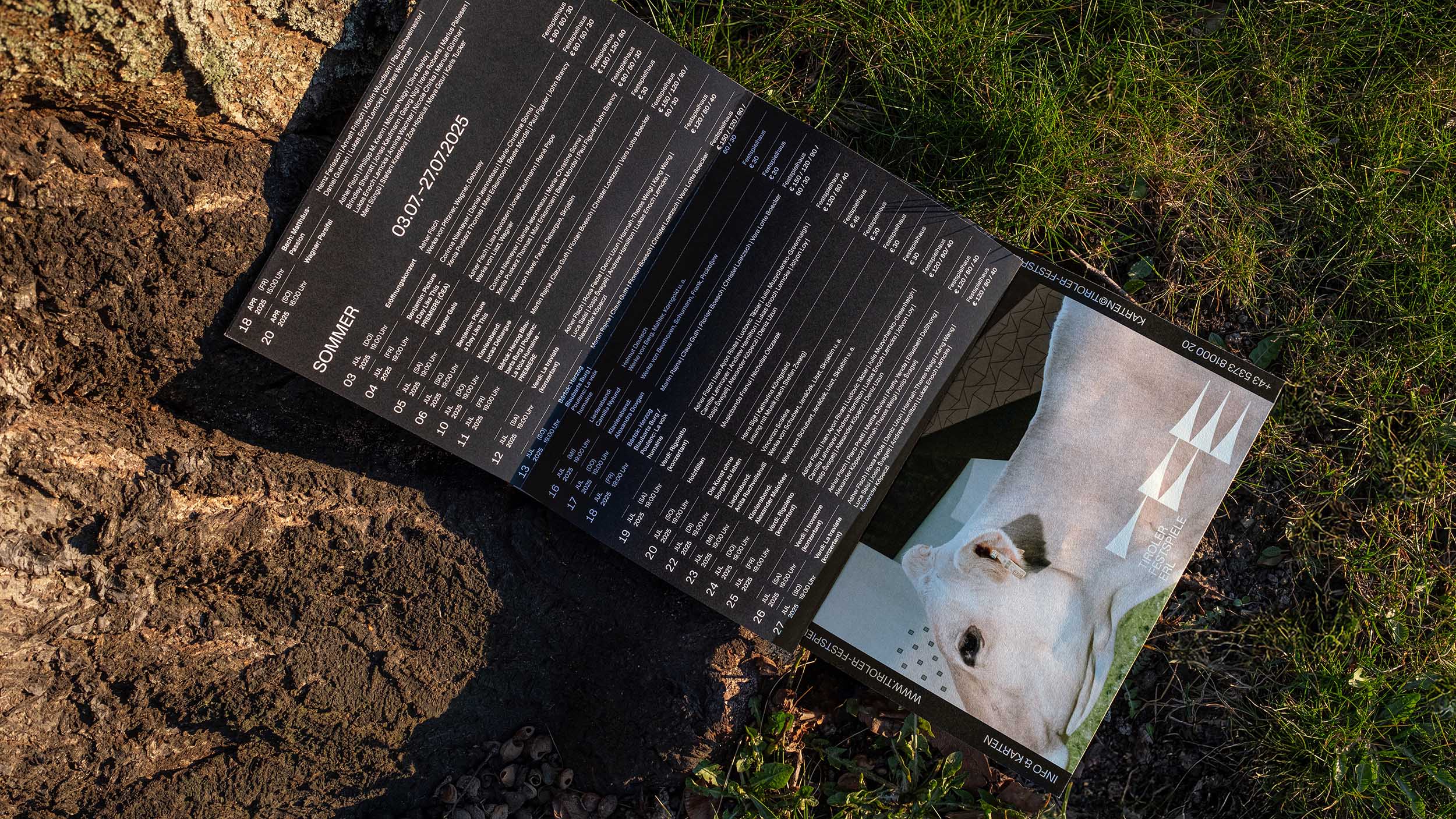 ©RolandRadschopf_Scholz&FriendsWien_AndreasJakwerth