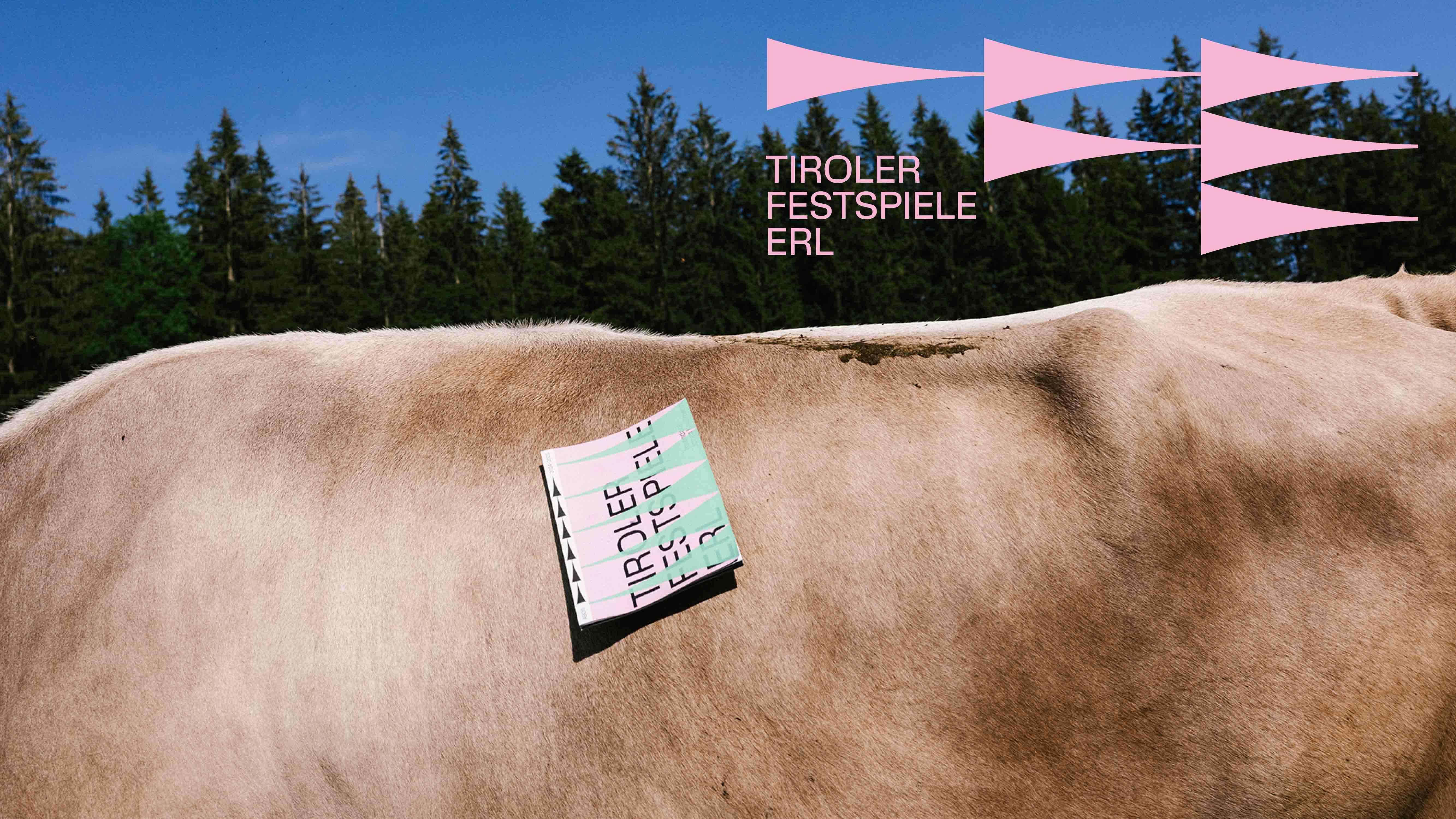 ©RolandRadschopf_Scholz&FriendsWien_AndreasJakwerth